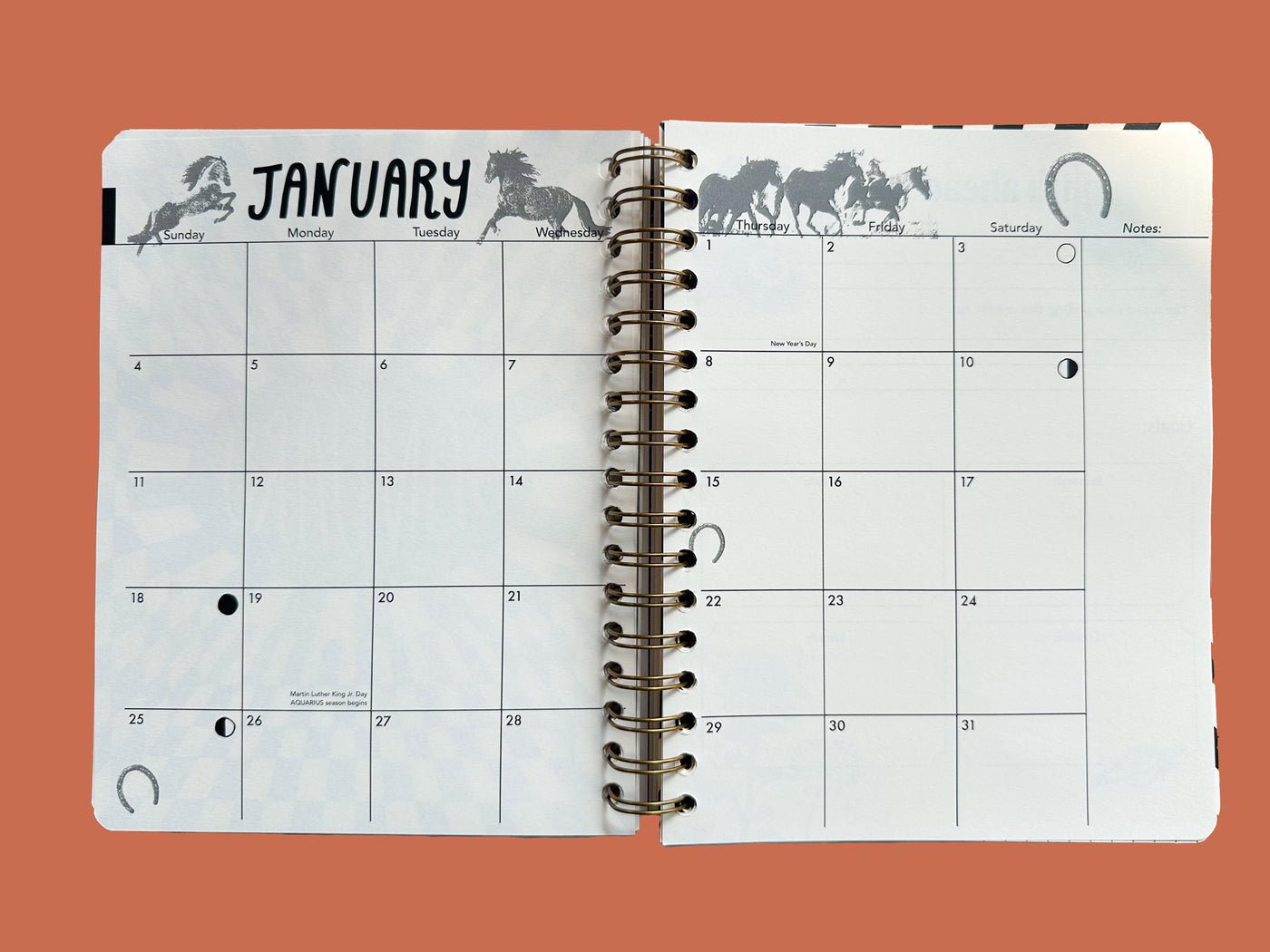 PRE-ORDER: 2026, 13 Month Planner | December 2025 - December 2026, Flower Power Cover