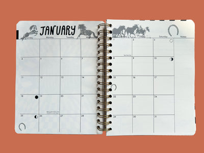 PRE-ORDER: 2026, 13 Month Planner | December 2025 - December 2026, Flower Power Cover