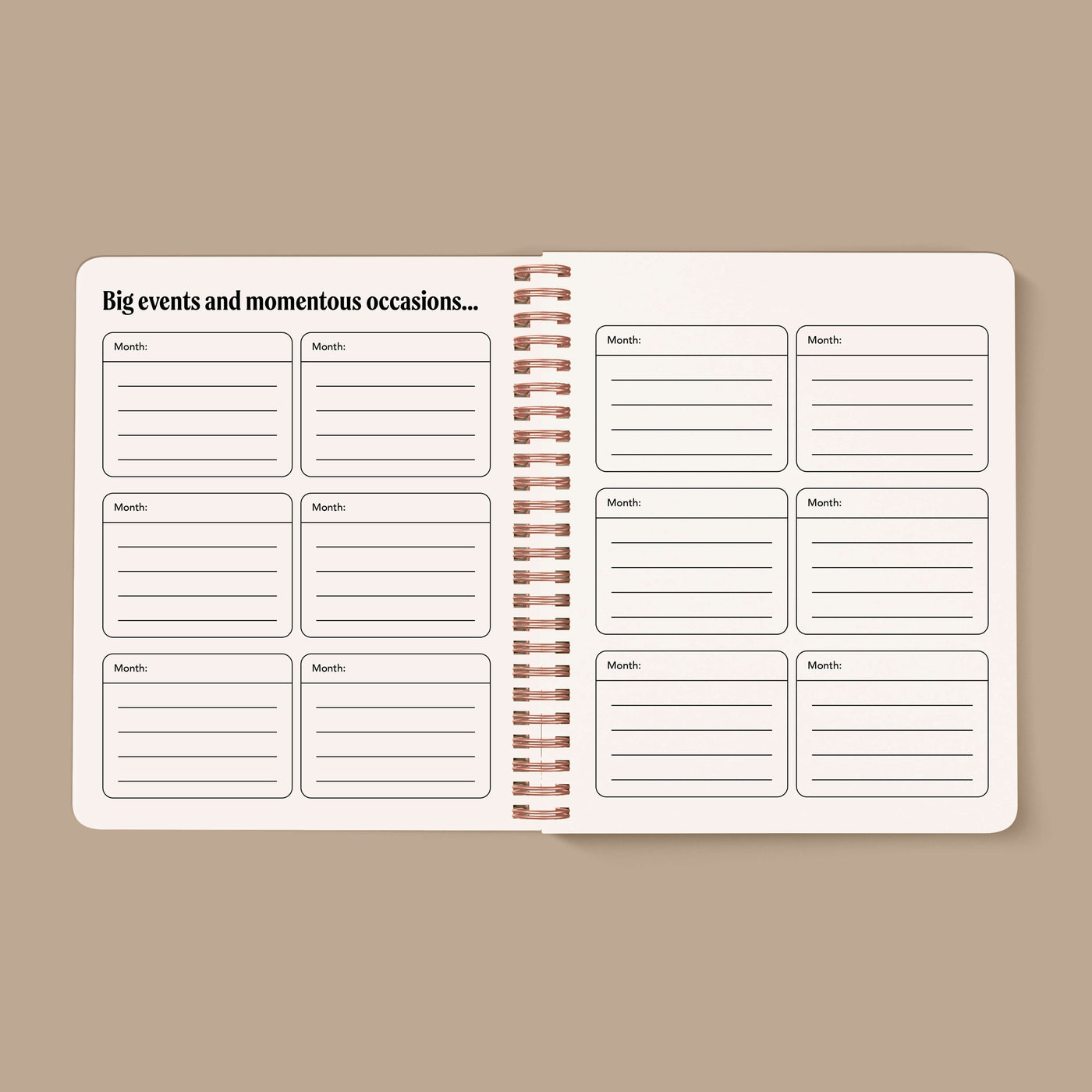 PRE-ORDER: 2026, 13 Month Planner | December 2025 - December 2026, Seeing Eye Cover