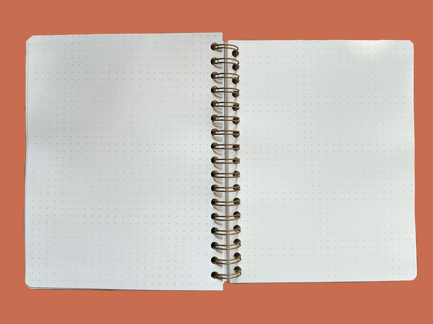 PRE-ORDER: 2026, 13 Month Planner | December 2025 - December 2026, Flower Power Cover