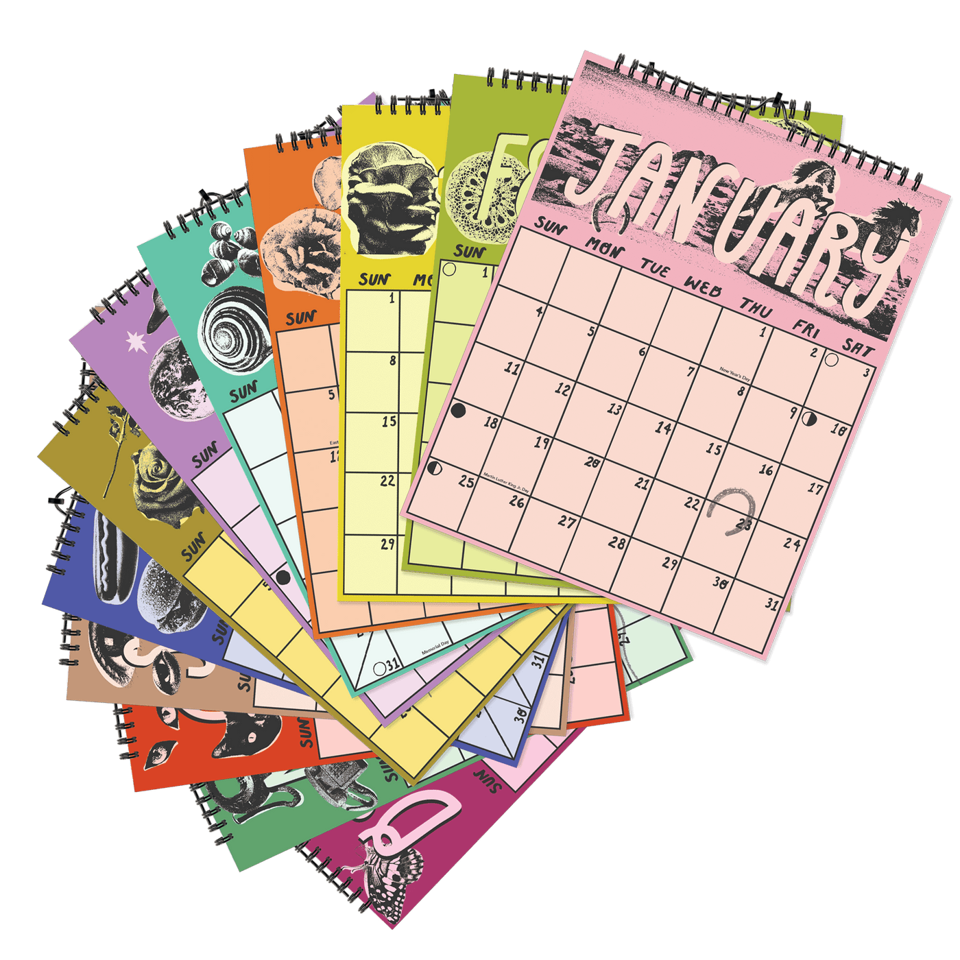 PRE-ORDER: 2026 Wall Calendar