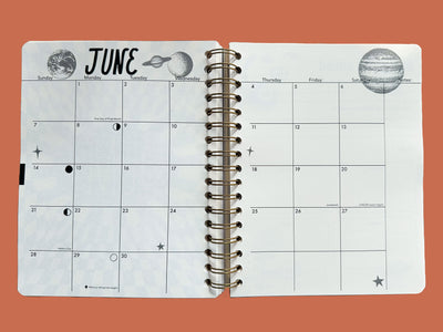 PRE-ORDER: 2026, 13 Month Planner | December 2025 - December 2026, Flower Power Cover