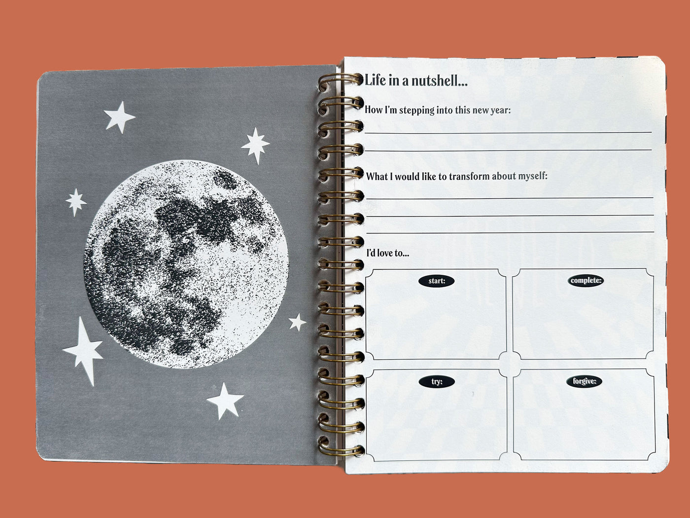 PRE-ORDER: 2026, 13 Month Planner | December 2025 - December 2026, Flower Power Cover