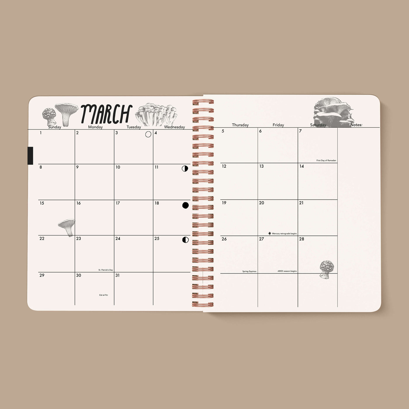 PRE-ORDER: 2026, 13 Month Planner | December 2025 - December 2026, Seeing Eye Cover