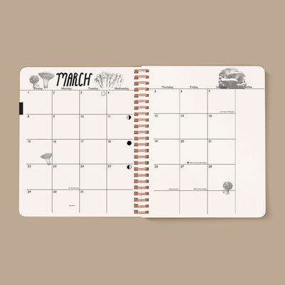 PRE-ORDER: 2026, 13 Month Planner | December 2025 - December 2026, Seeing Eye Cover