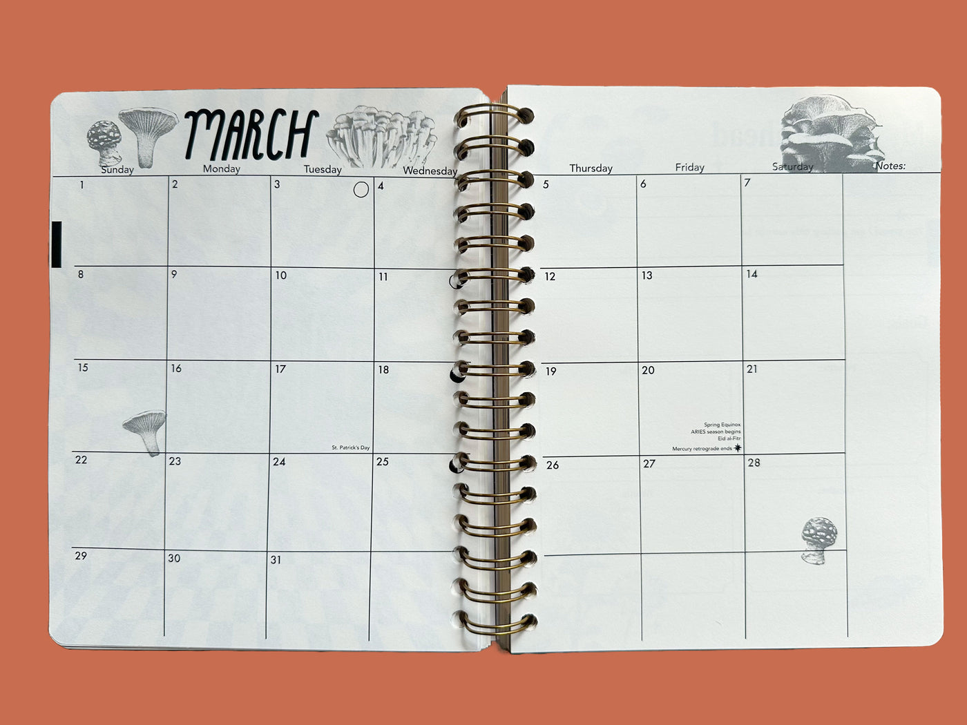 PRE-ORDER: 2026, 13 Month Planner | December 2025 - December 2026, Flower Power Cover