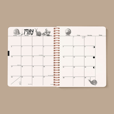 PRE-ORDER: 2026, 13 Month Planner | December 2025 - December 2026, Liminal Space Cover
