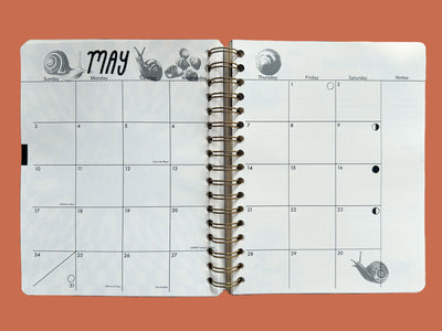 PRE-ORDER: 2026, 13 Month Planner | December 2025 - December 2026, Flower Power Cover