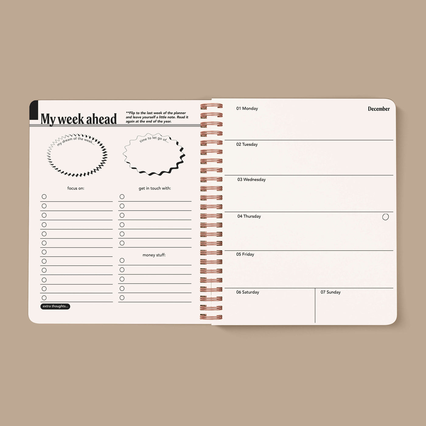 PRE-ORDER: 2026, 13 Month Planner | December 2025 - December 2026, Seeing Eye Cover