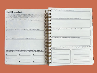 PRE-ORDER: 2026, 13 Month Planner | December 2025 - December 2026, Flower Power Cover