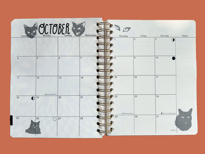 PRE-ORDER: 2026, 13 Month Planner | December 2025 - December 2026, Flower Power Cover