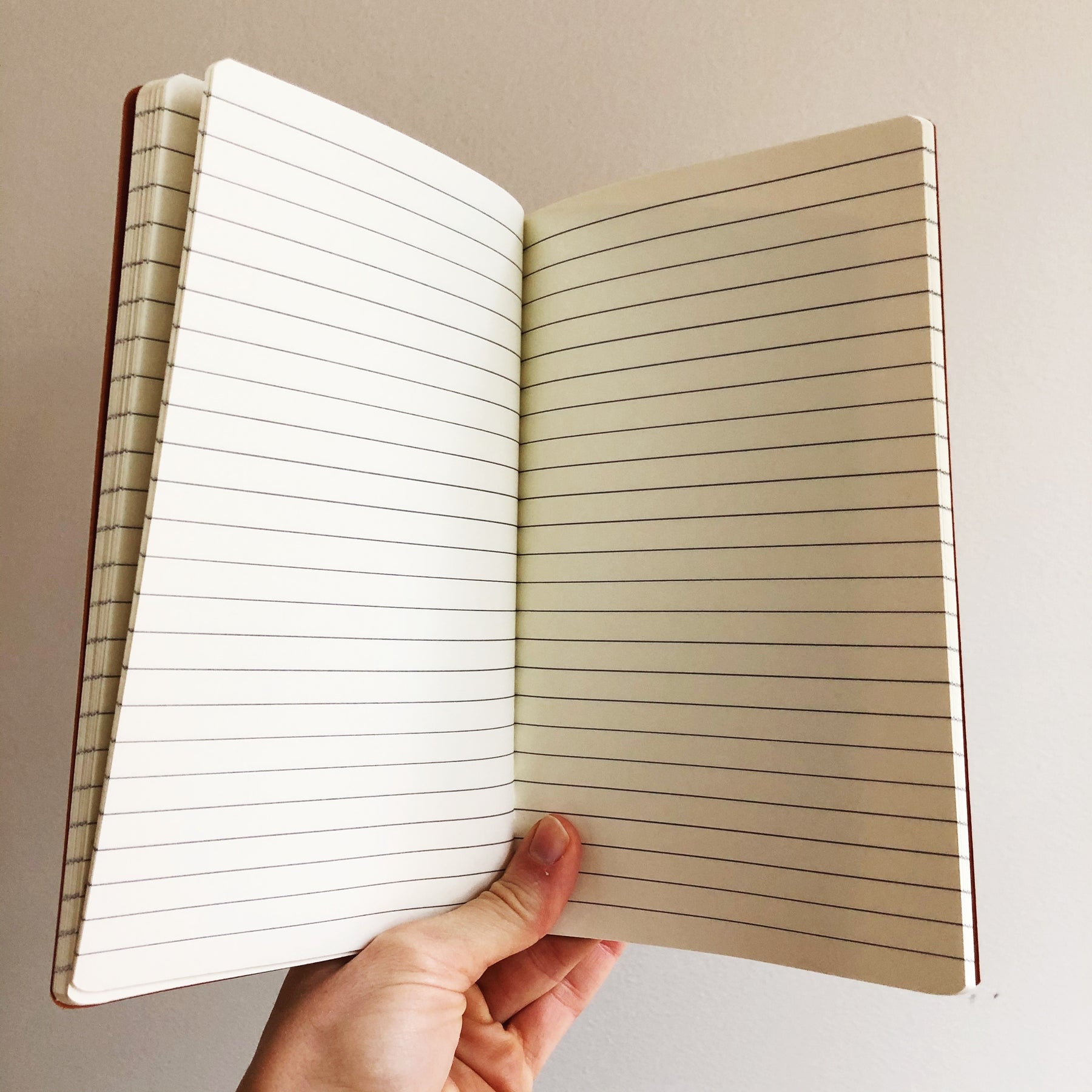 Eye Dream Notebook – The Rainbow Vision